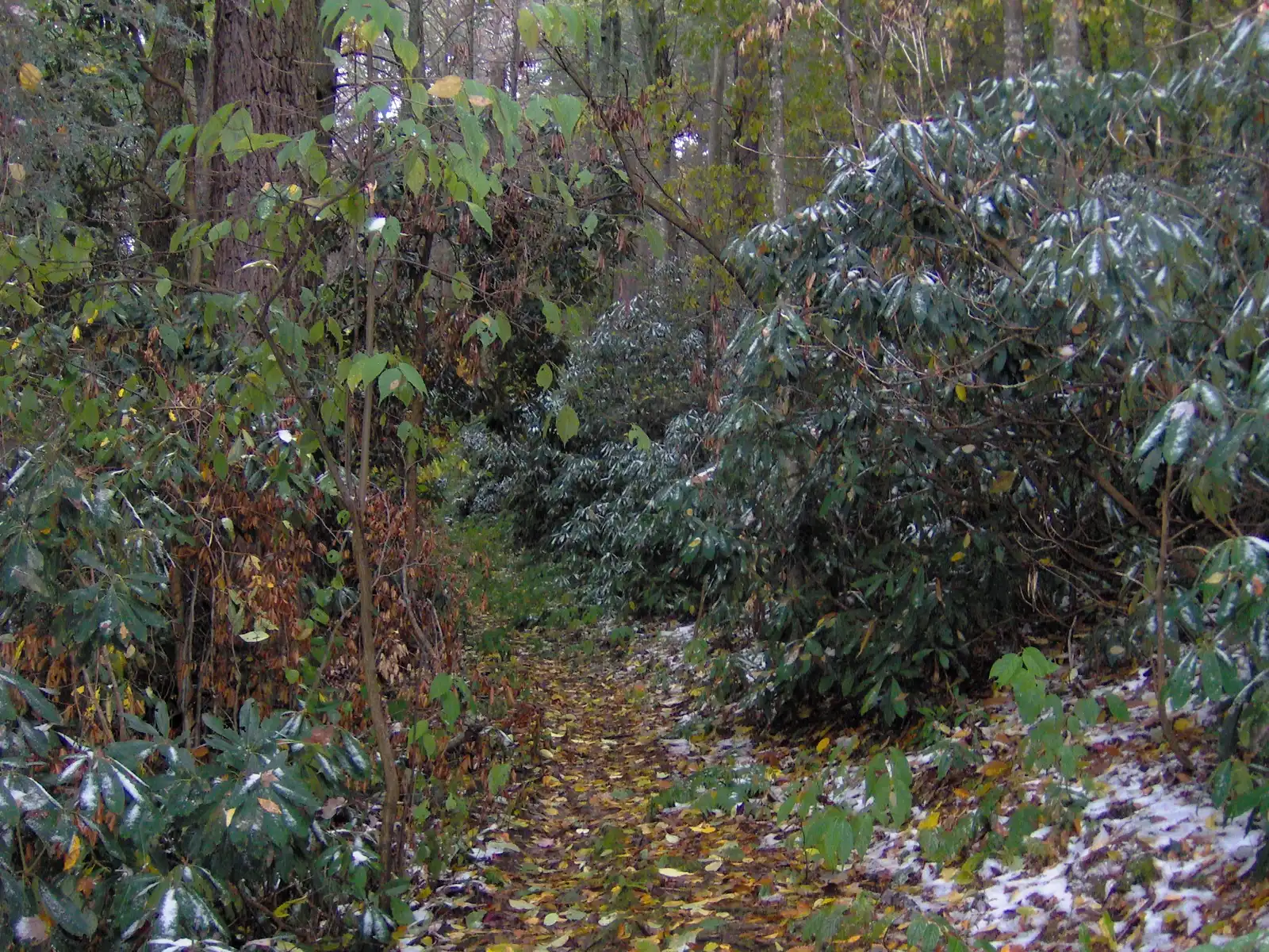The Trail Experience Along the Way (By Brian Stansberry, CC BY 3.0)
