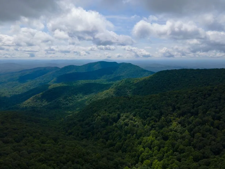 A Small Town With an Outsized Reputation (Image Credits: Pexels)