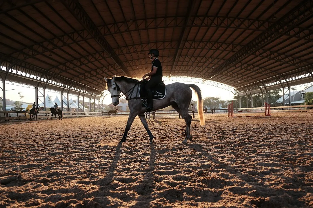 The Arena Lesson: Your First Ride Happens Before the Trail (Image Credits: Unsplash)