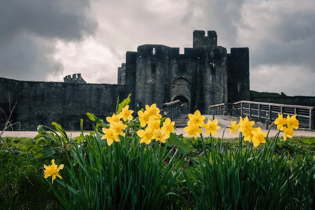 Why Wales Has So Many Castles (Image Credits: Unsplash)