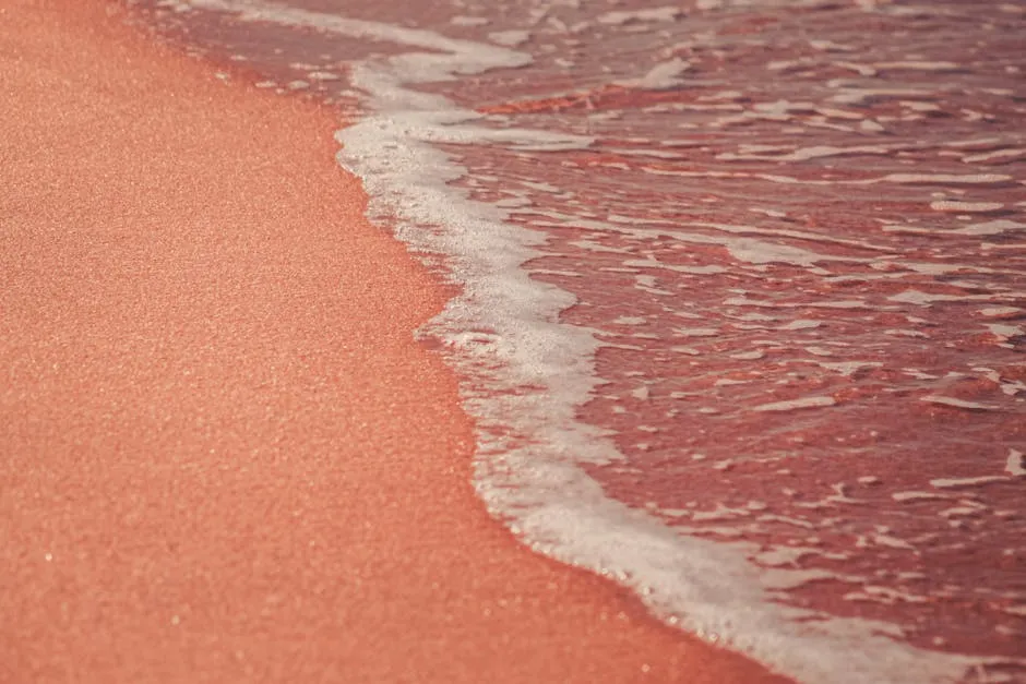 How Big Is the Beach? (Image Credits: Pexels)