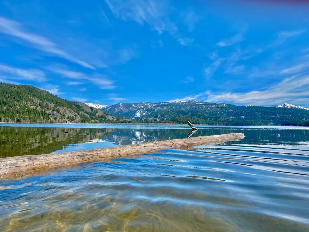 A Town That Nearly Triples in Size Every Summer (Image Credits: Unsplash)