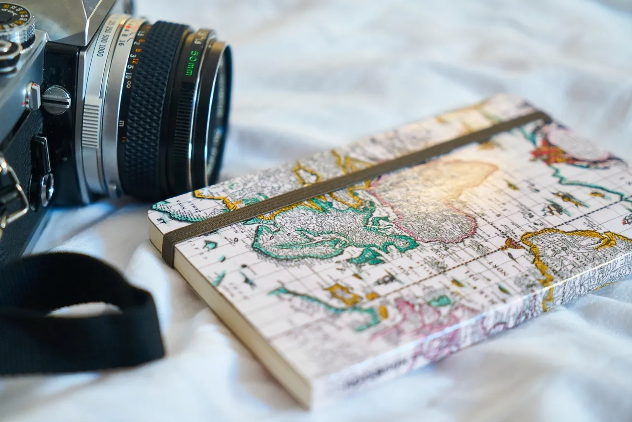 Why the Travel Agent's Comeback Is Real, and Working in Your Favor (Image Credits: Pixabay)