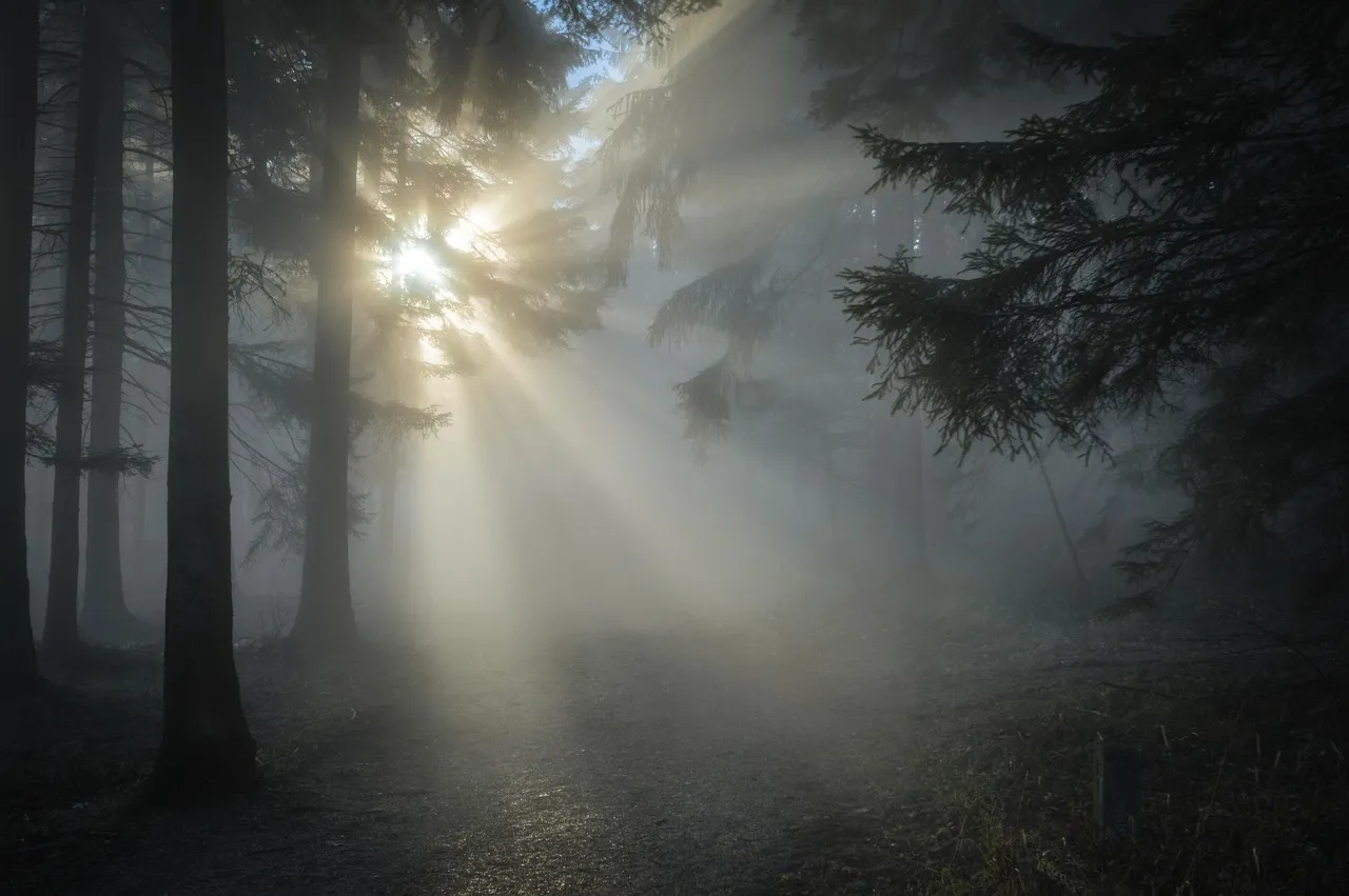 Weekday Mornings Are the Quiet Hours That Guides Won't Always Advertise (Image Credits: Pixabay)