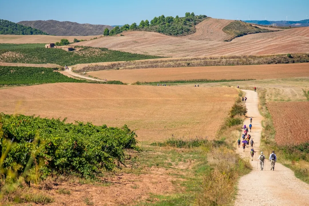 1. The Camino de Santiago, Spain and Portugal: Walking as a Way of Seeing (Image Credits: Unsplash)