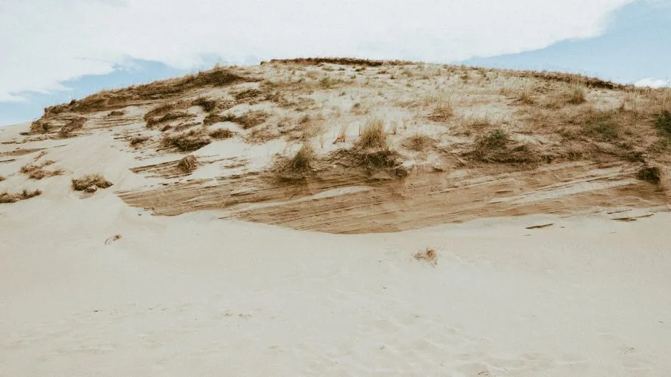 Nordhouse Dunes: The Wilderness Choice (Image Credits: Pexels)