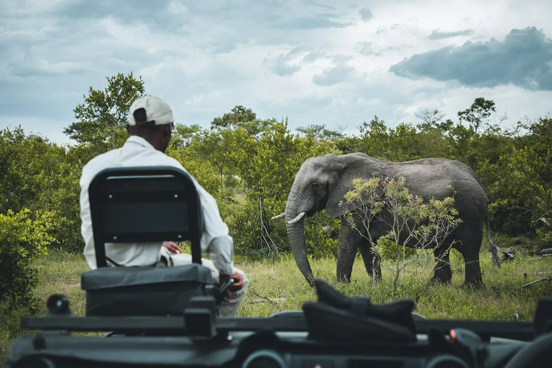 1. Wildlife Unlike Anywhere Else on Earth (Image Credits: Unsplash)