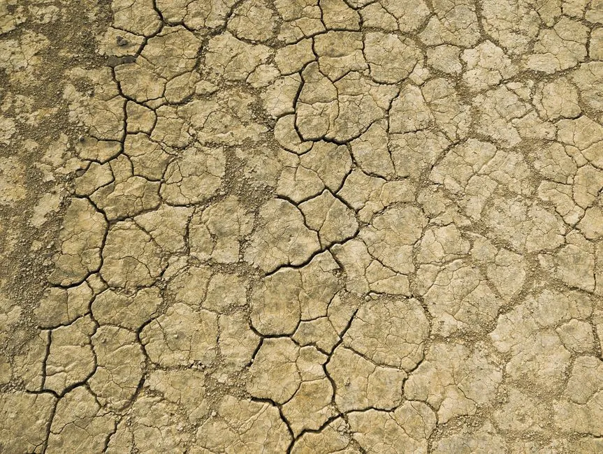 Alvord Desert, Oregon (Image Credits: Pexels)