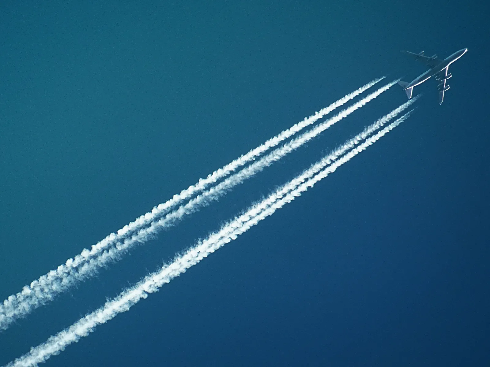The Race the Army Ran (Image Credits: Pexels)
