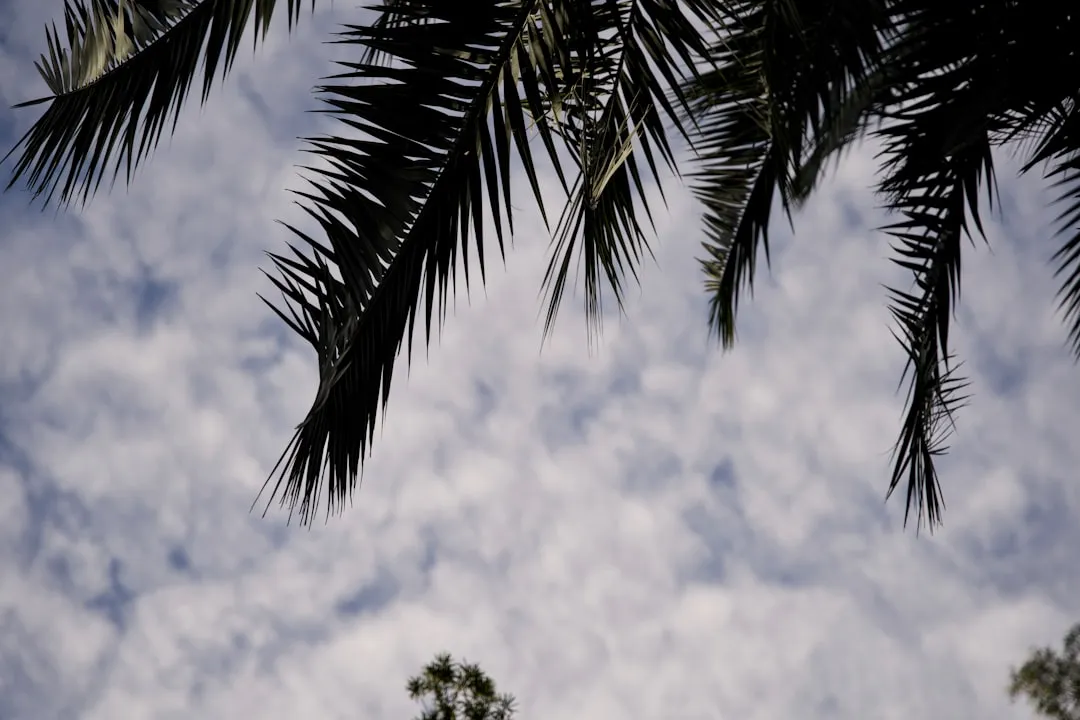 What About Weather? It's Rarely the Full Story (Image Credits: Unsplash)