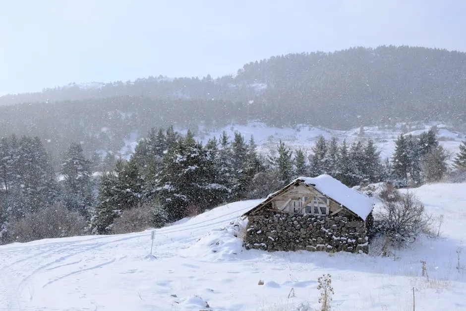 9. The Black Hills, South Dakota - Unexpected Winter Magic (Image Credits: Pexels)