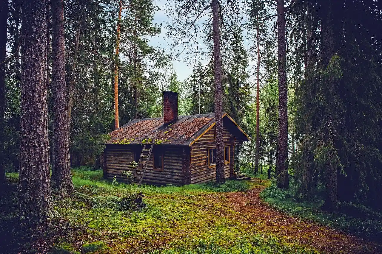 The Cabin Experience: Privacy That Hotels Can't Replicate (Image Credits: Pixabay)