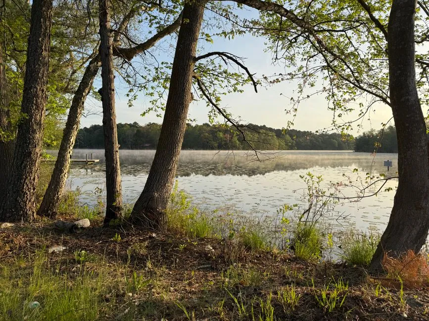 Deer Lake, Itasca County: The Lake That Changes Color (Image Credits: Pexels)