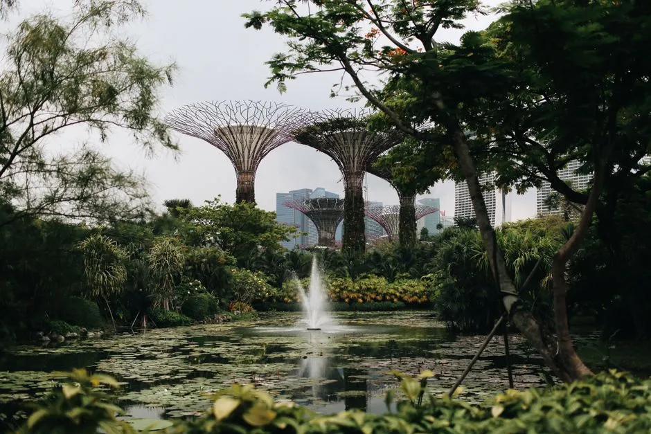 3. Singapore Botanic Gardens - Singapore (Image Credits: Pexels)