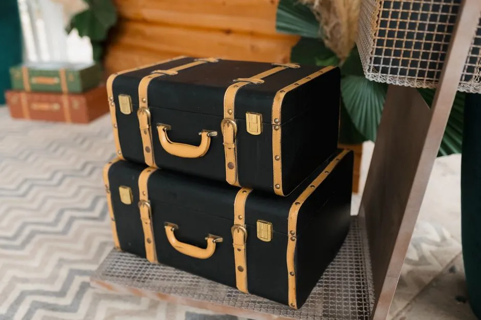 Dark Bags Are Also the Most Likely to Be Stolen (Image Credits: Pexels)