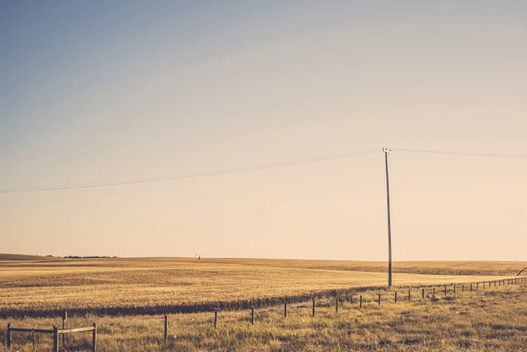 The Lasting Lesson of the Empty Afternoon (Image Credits: Unsplash)