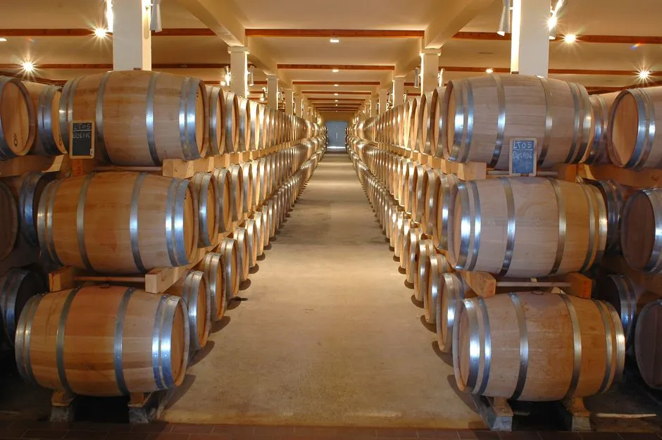 The Accessibility That Napa Simply Can't Match (Image Credits: Pexels)
