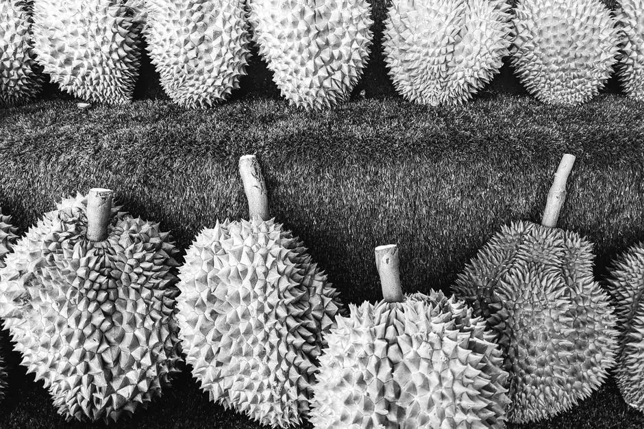 Is There Any Legal Way to Fly With Durian? (Image Credits: Pexels)