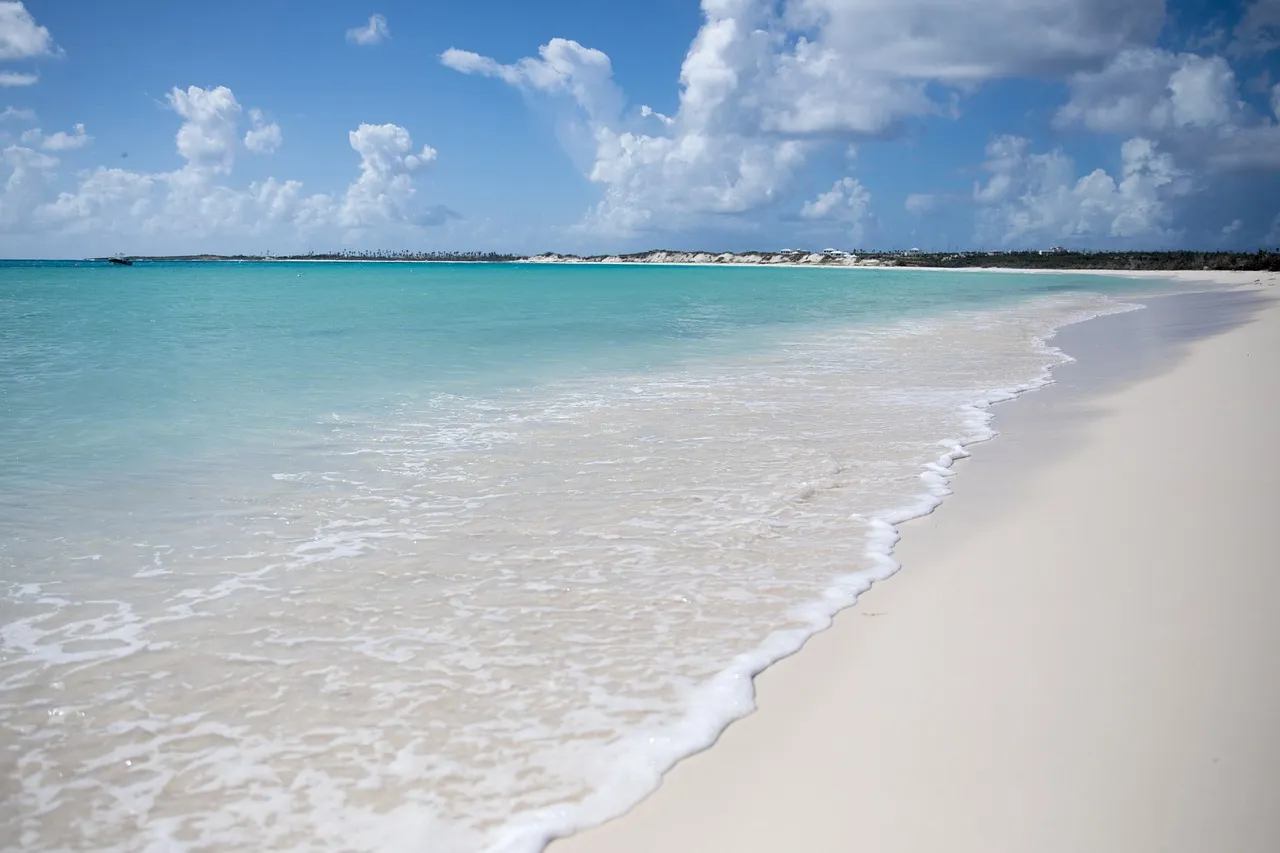 Record Arrivals Prove the Appeal Is Real (Image Credits: Pixabay)