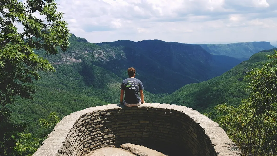 Who Marion Actually Works For (Image Credits: Unsplash)