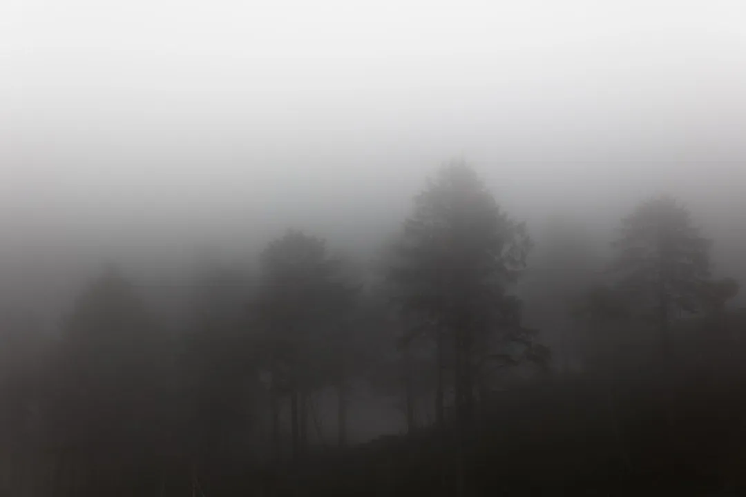 The Midday Trap: Why Noon Looks Promising but Often Isn't (Image Credits: Unsplash)