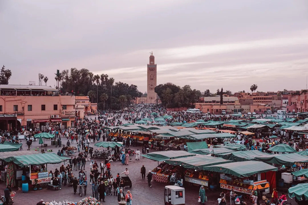 Marrakech, Morocco: Warm Days and Calmer Medinas (Image Credits: Unsplash)