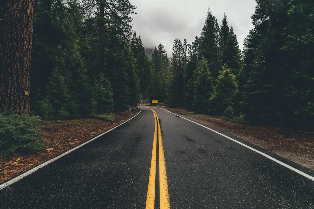 The Two-Lane Highway as an Antidote to Algorithm Life (Image Credits: Unsplash)