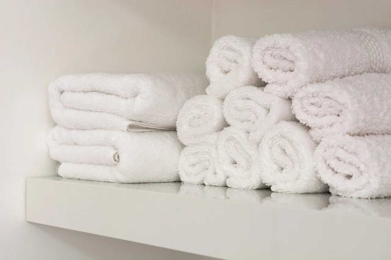 The Request in Question: Asking for a Full Daily Room Clean When You Don't Need One (Image Credits: Pixabay)