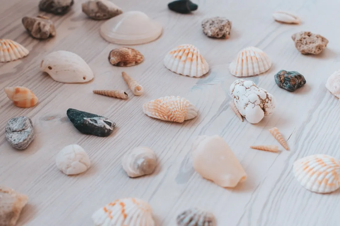 The Shell Game and Fake Street Gambling (Image Credits: Unsplash)