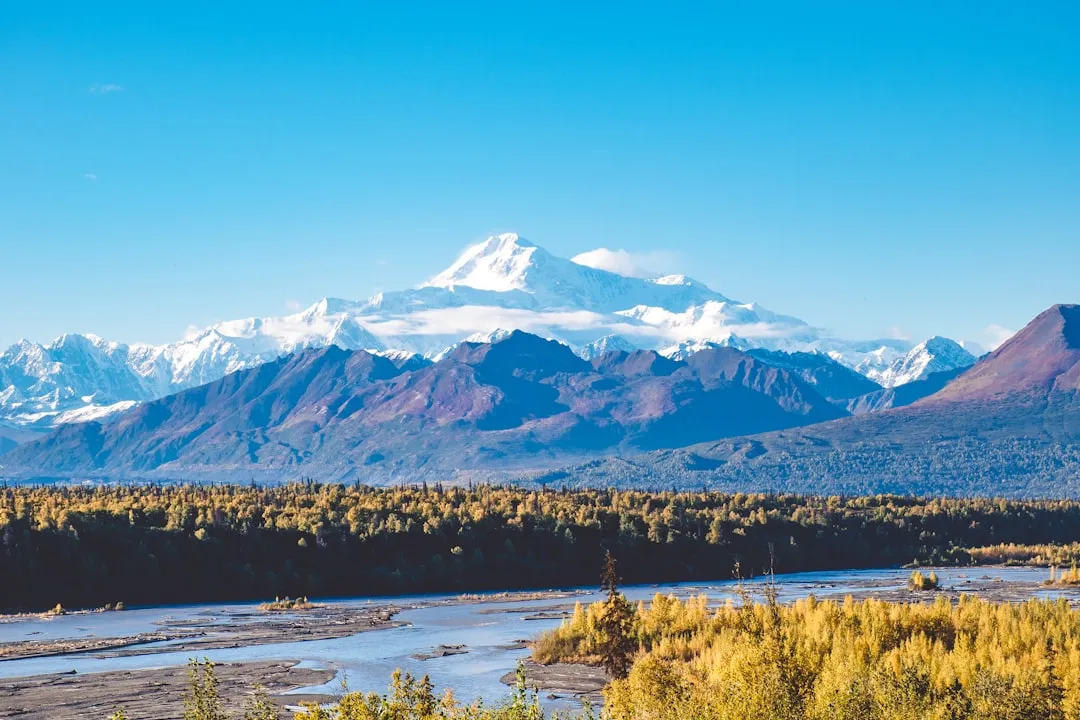 Denali National Park: Remote Access Done Right (Image Credits: Unsplash)