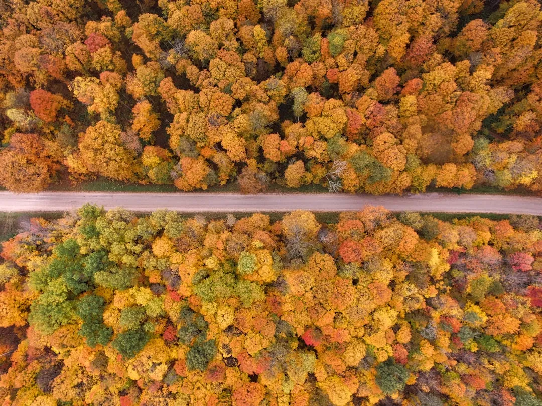 The Scenic Drives Around Town Are Hard to Beat (Image Credits: Unsplash)