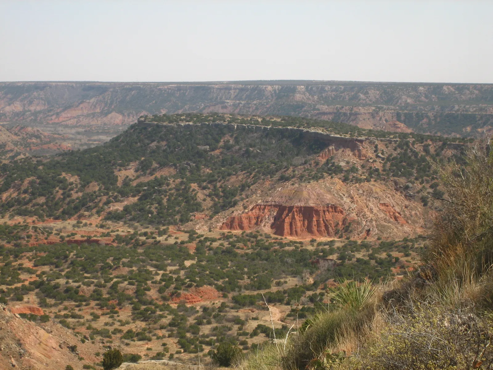 The Scale Is Hard to Believe (Own workTransferred from en.wikipedia, CC BY-SA 3.0)