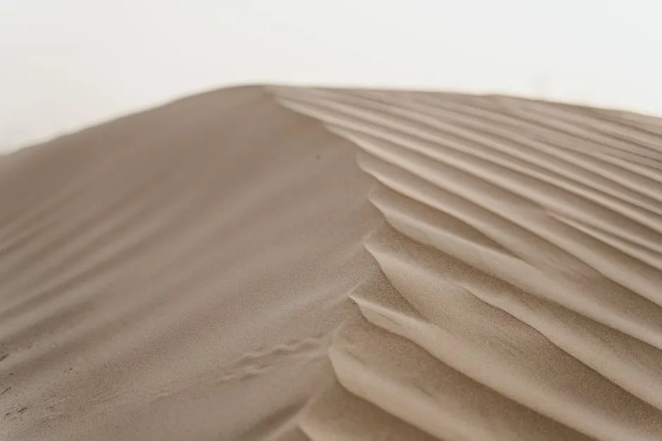 Trampling Dune Vegetation: More Damage Than It Looks (Image Credits: Pexels)