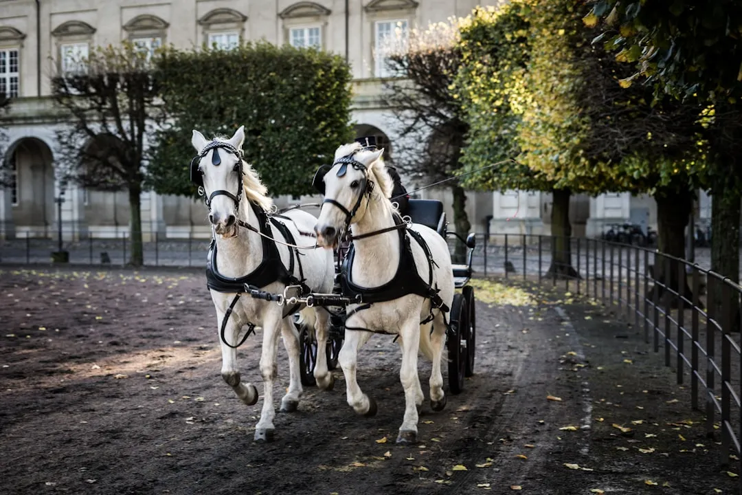 The Island That Runs on Authentic Horsepower (Image Credits: Unsplash)