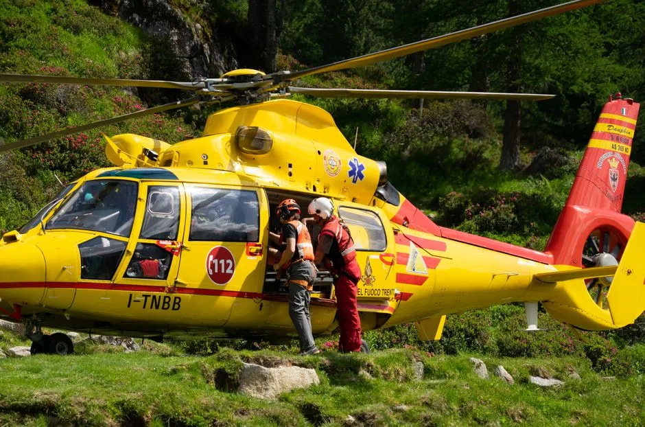 The Rescue Data That Tells a Larger Story (Image Credits: Pexels)