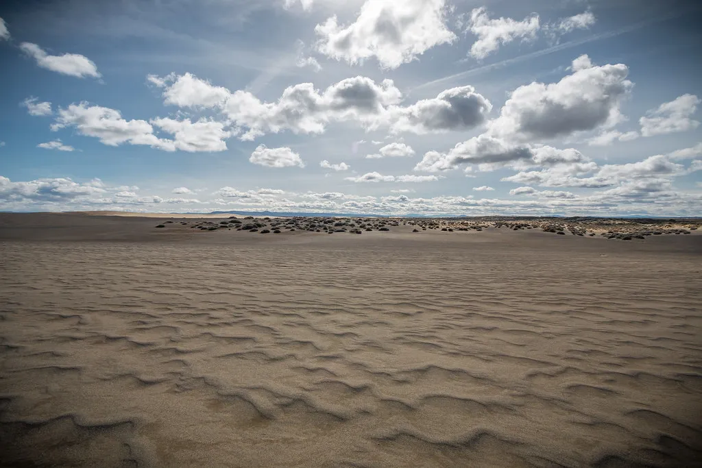 The Oregon Beach Bill: Why All of This Belongs to You (BLM Oregon & Washington, Flickr, CC BY 2.0)