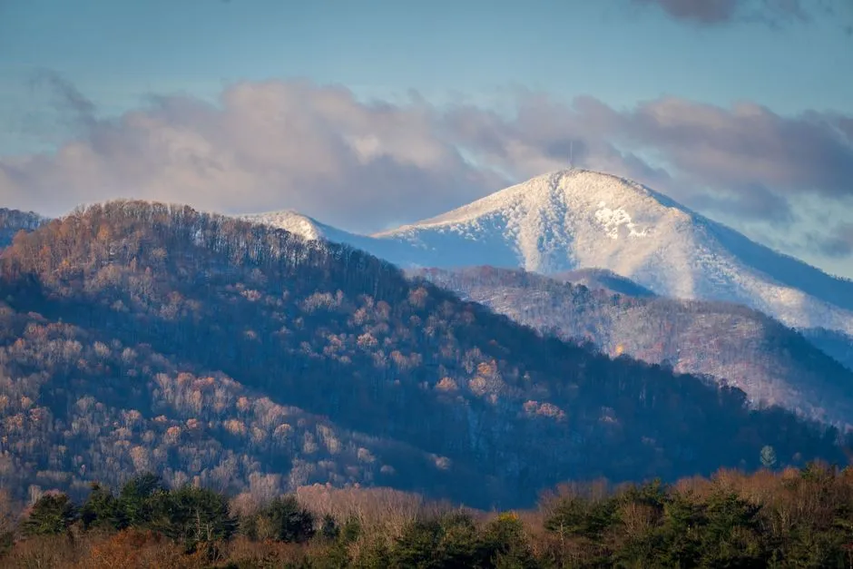A Winter Landscape That Feels Like a Different World (Image Credits: Pexels)