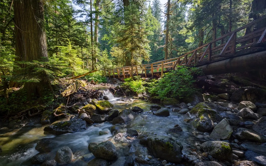 The Pacific Northwest Has More Trails Than Most People Realize (Image Credits: Unsplash)