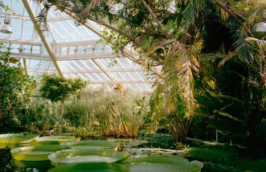 Why These Gardens Deserve More Credit Than They Get (Image Credits: Unsplash)