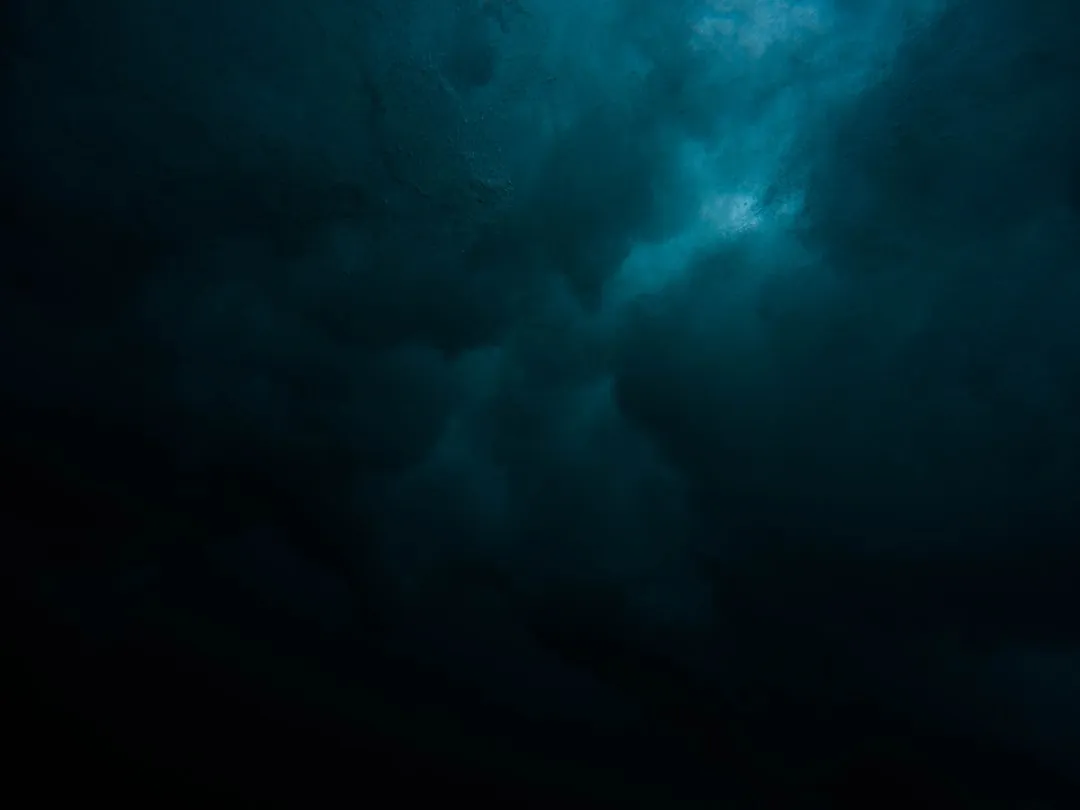The Astronomy Community Behind the Scenes (Image Credits: Unsplash)