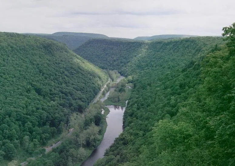6. Tioga State Forest, Pennsylvania (I photographed it myself, cropped from larger panorama which was originally seven vertical photos, panorama made with Panorama Factory (www.panoramafactory.com) shareware., CC BY-SA 3.0)