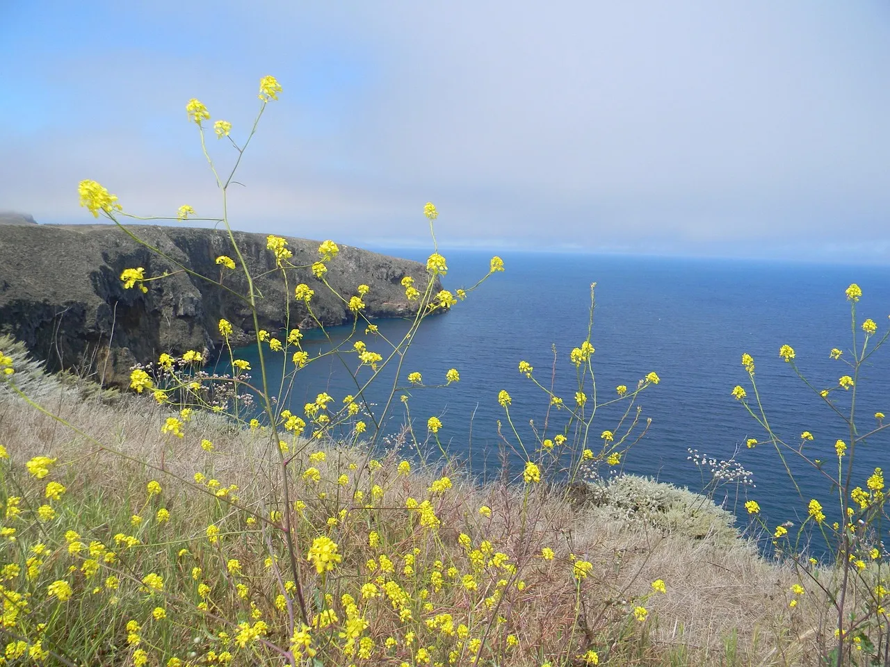Why Channel Islands Sees a Fraction of Yosemite's Crowds (Image Credits: Pixabay)