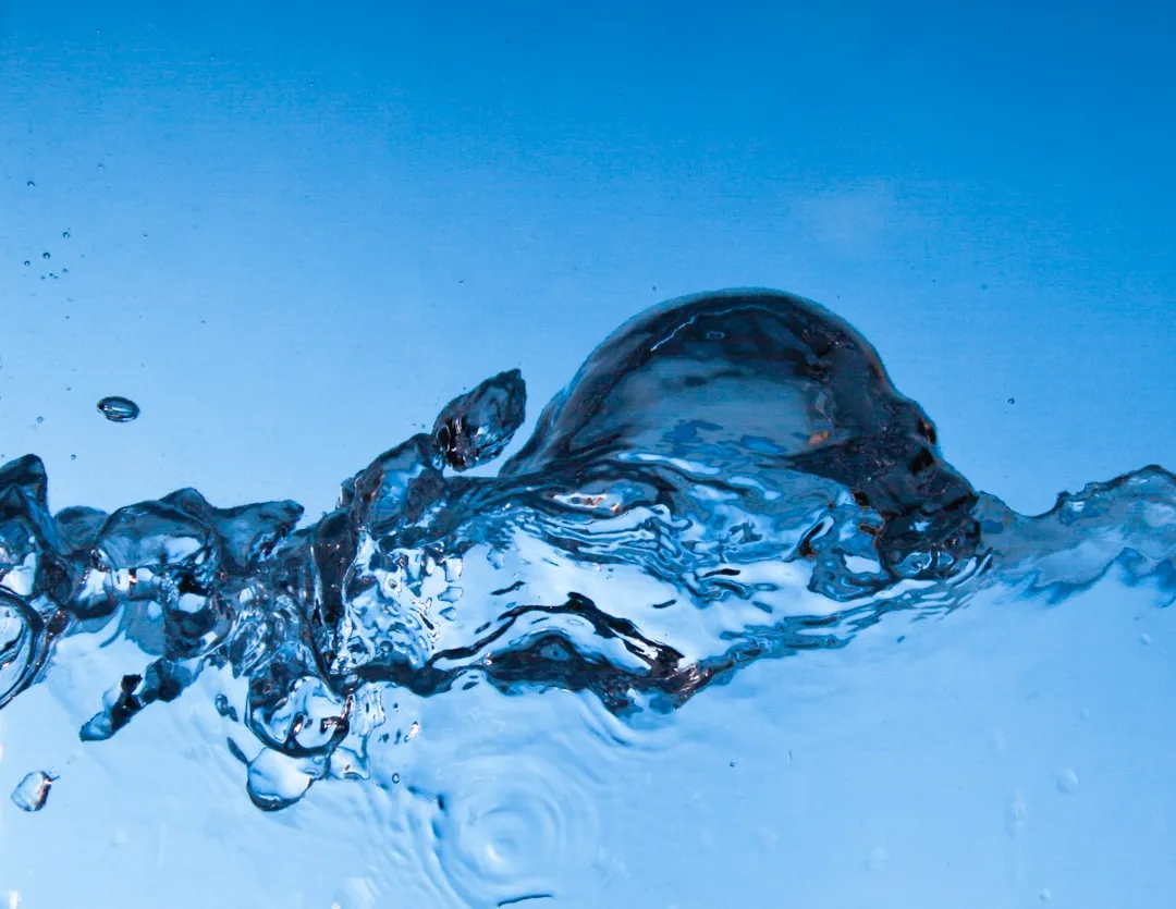 Water Treatment Is Non-Negotiable - But Manageable (Image Credits: Unsplash)