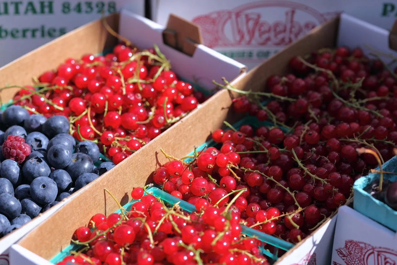 Hyper-Local and Farm-to-Table: The New Direction (Image Credits: Pixabay)