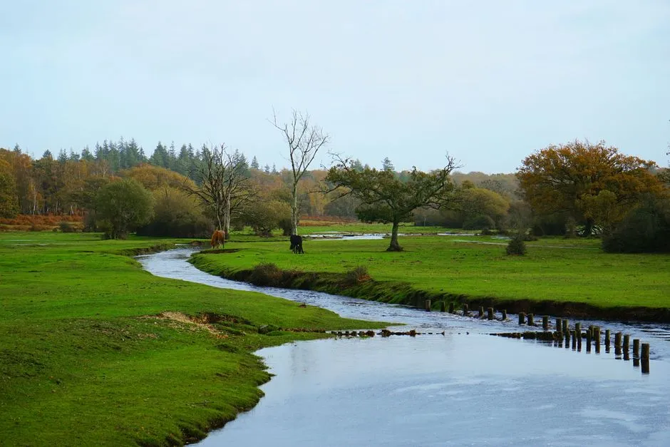 6. Chewton Glen Treehouses, New Forest, England: English Countryside, Elevated (Image Credits: Pexels)