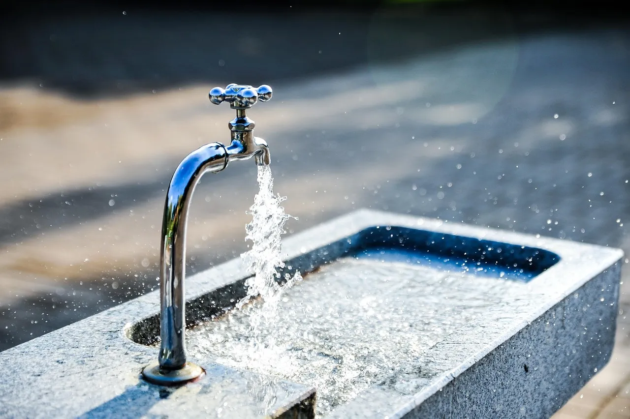 The Palate-Cleansing Move Most Visitors Skip (Image Credits: Pixabay)