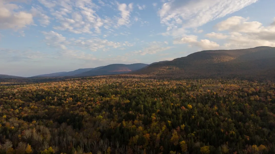 Phoenicia: A Catskills Hamlet That Runs at Its Own Pace (Image Credits: Unsplash)
