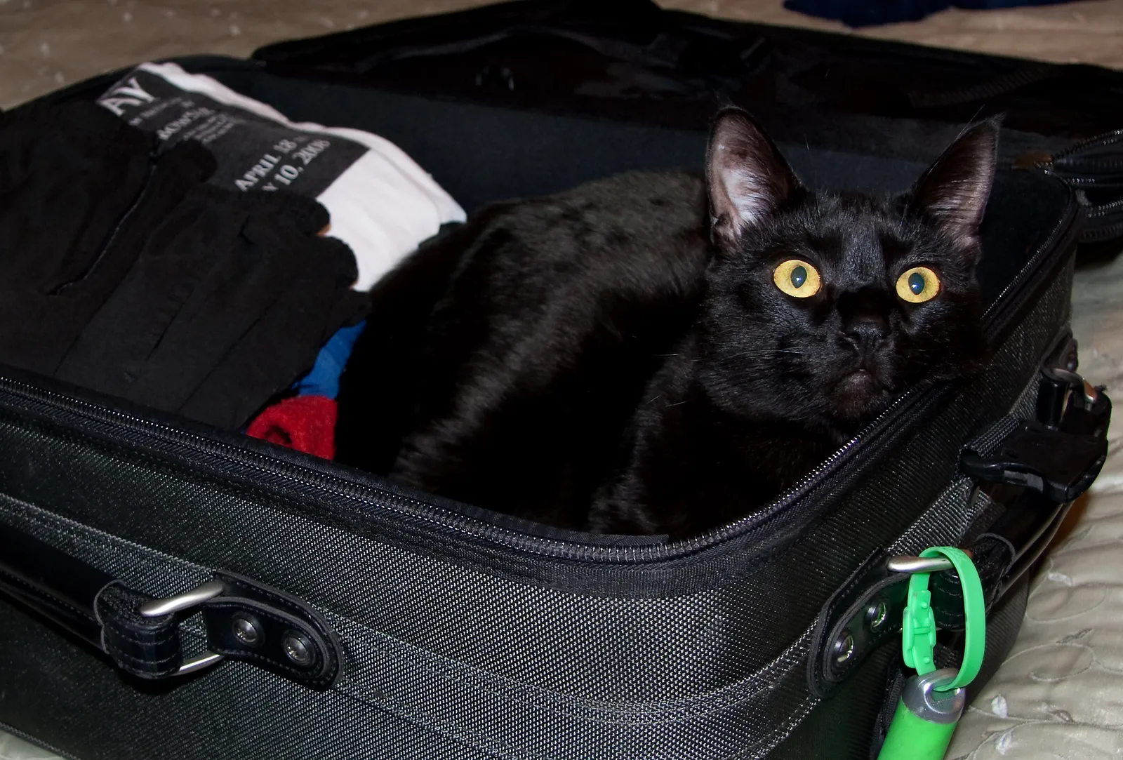 The Takeaway (All Packed Up and Nowhere To Go, CC BY 2.0)