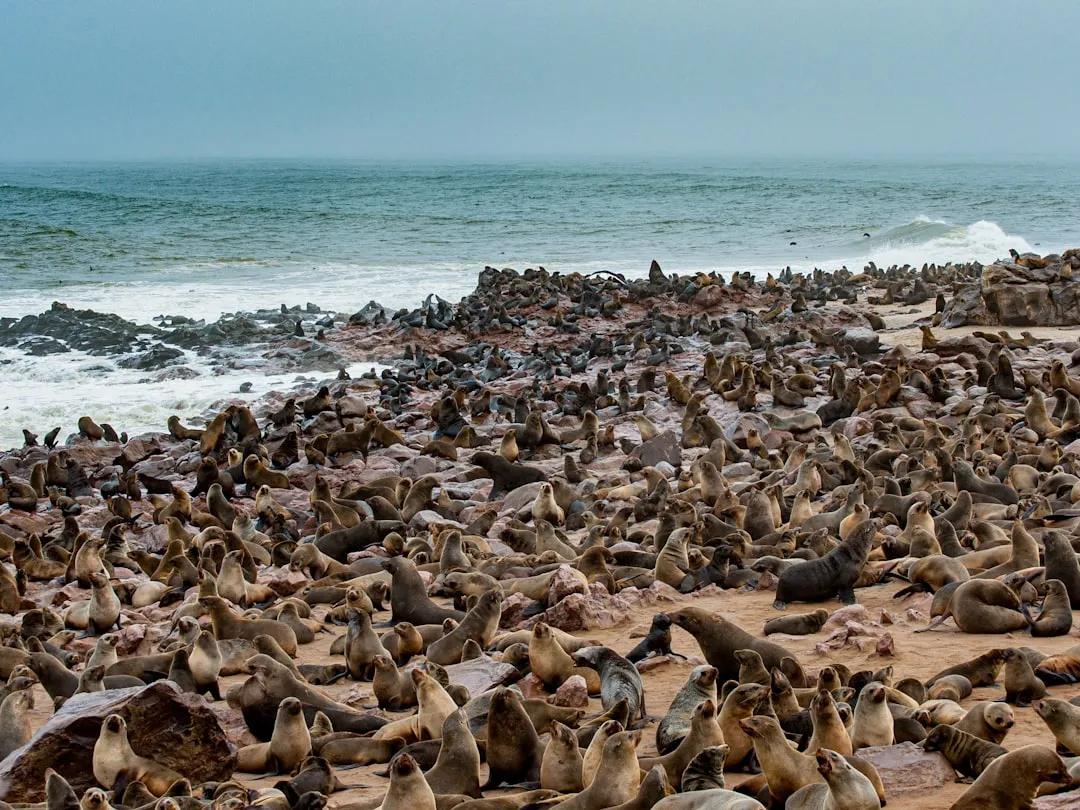 The Skeleton Coast: Beautiful, Hostile, and Unforgettable (Image Credits: Unsplash)