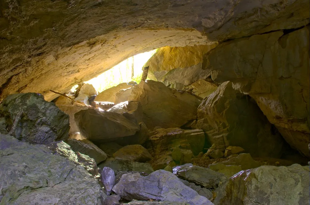 Carter Caves State Resort Park: A Network That Keeps Growing (robspiegel, Flickr, CC BY 2.0)
